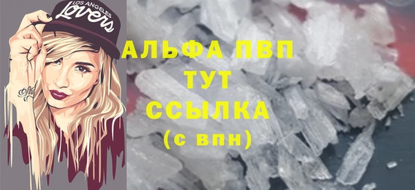 шишки Верея